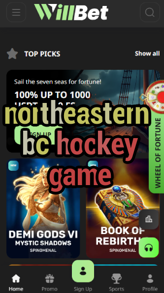 Northeastern BC Hockey Game - Schedule-vz72fvrf.com